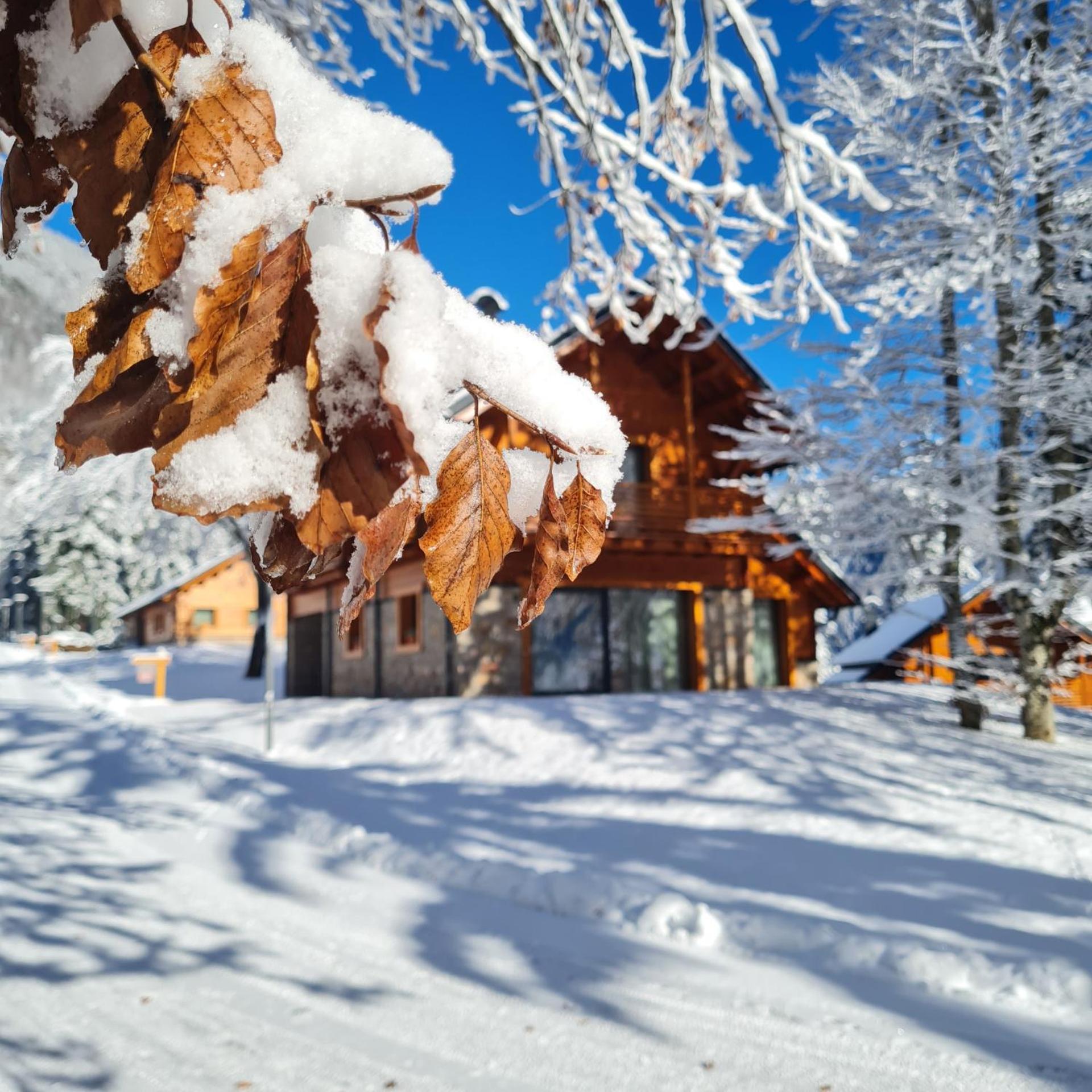 Kile Alpine Resort Valbruna Esterno foto